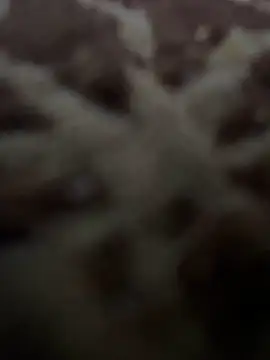 HHHHHxxn online show from 05/01/26, 09:42