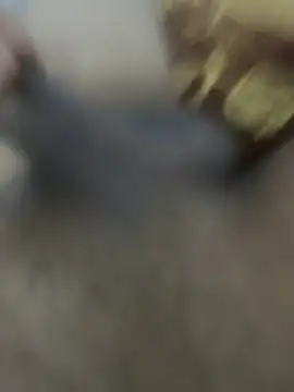 HHHHHxxn online show from 03/24/26, 05:29