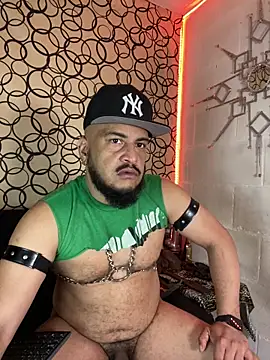 the master foal  online show from 02/27/26, 07:03