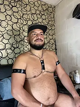 the master foal  online show from 04/19/26, 07:20