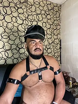 the master foal  online show from 03/31/26, 08:49