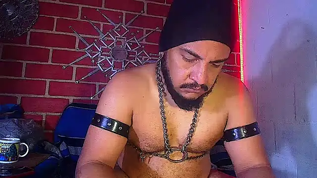 the master foal  online show from 03/20/25, 02:53