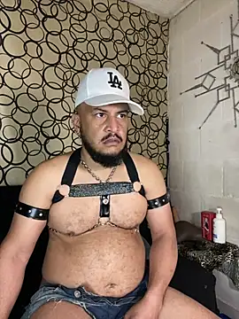 the master foal  online show from 03/11/26, 07:19