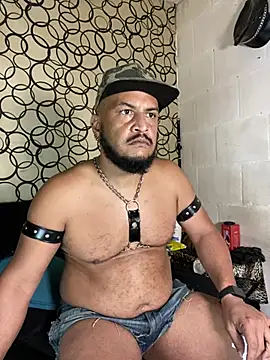 the master foal  online show from 04/11/26, 07:16