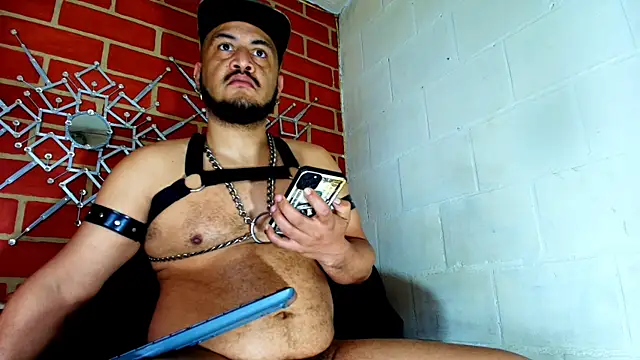 the master foal  online show from 10/29/25, 07:13