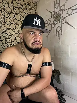 the master foal  online show from 03/13/26, 12:43