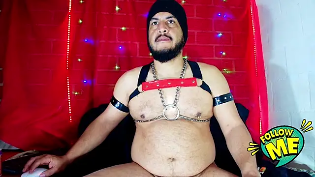 the master foal  online show from 09/18/25, 11:13