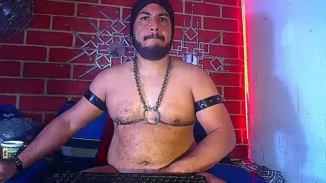 the master foal  online show from 03/19/25, 12:12