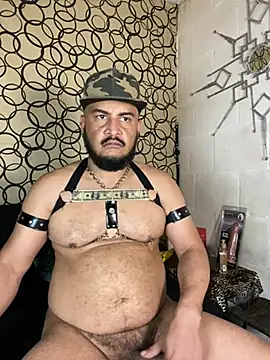 the master foal  online show from 03/17/26, 11:41