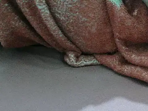 FUN4TIPS online show from 03/02/25, 05:09