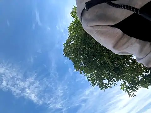 kingdennis6666 online show from 09/17/25, 07:27