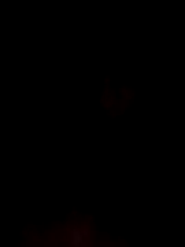 kingdennis6666 online show from 11/11/25, 03:34