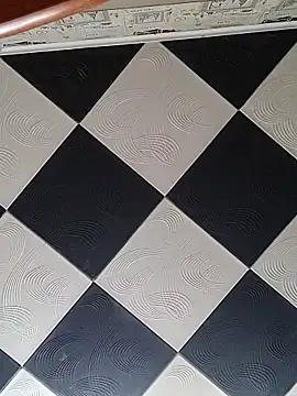 Rini333 online show from 12/17/25, 06:18