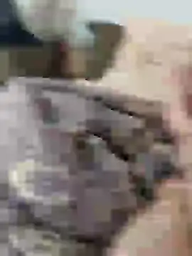 Snapshot of Yaramaz331 chatting on 03/11/25, 10:29 Yaramaz331 online show from 03/11/25, 10:29