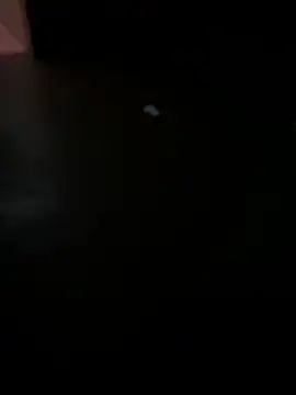 MALEHYPER online show from 12/02/25, 08:21