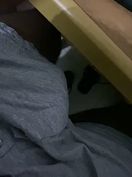 Snapshot of MALEHYPER chatting on 10/04/25, 06:31 MALEHYPER online show from 10/04/25, 06:31