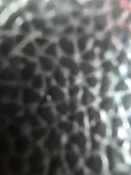 WhiteMeat069 online show from 04/14/26, 08:14