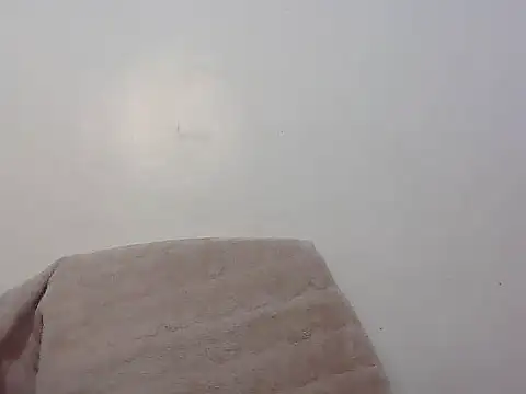 wild amber25 online show from 11/29/25, 08:14