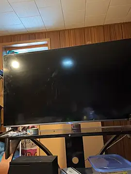 Mini And The Bear online show from 03/29/26, 03:02