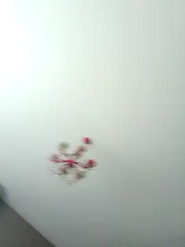 ClubbyEuphory online show from 02/05/26, 01:40