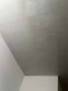 Juliana News online show from 11/19/25, 04:51