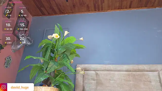 nicol snow online show from 01/15/26, 01:25