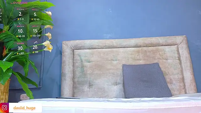 nicol snow online show from 01/12/26, 01:51