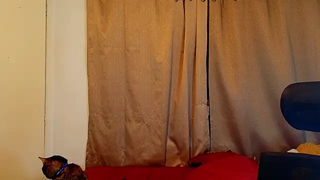 jimmy class online show from 10/16/25, 12:30