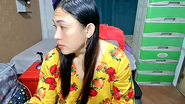 M e c e l online show from 03/06/26, 07:53