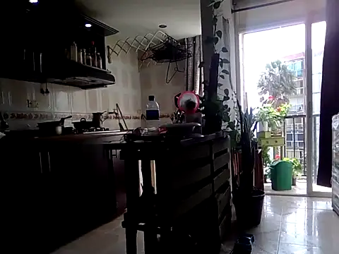 Diosasky online show from 09/12/25, 01:55