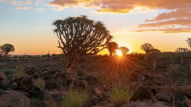 HannaMoom online show from 10/28/25, 10:52