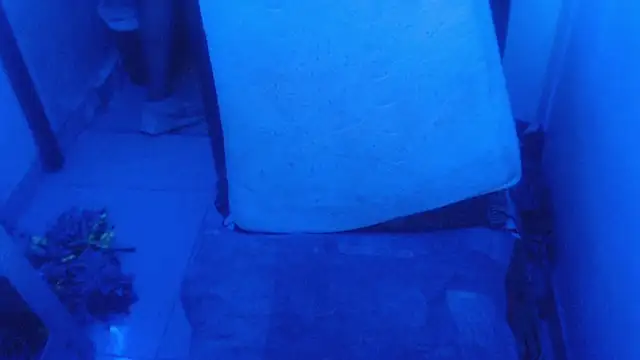 selenax2023 online show from 02/02/26, 11:04