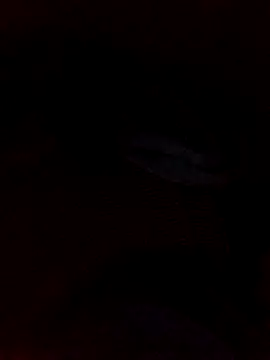 juandi21cm online show from 01/11/26, 09:33