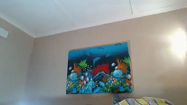 xykenrahxh online show from 11/17/25, 08:02