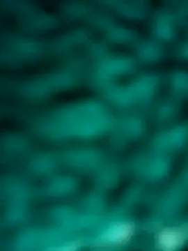Jeck leo online show from 01/23/25, 09:29