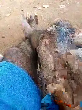 Royalk2030 online show from 02/28/26, 06:35