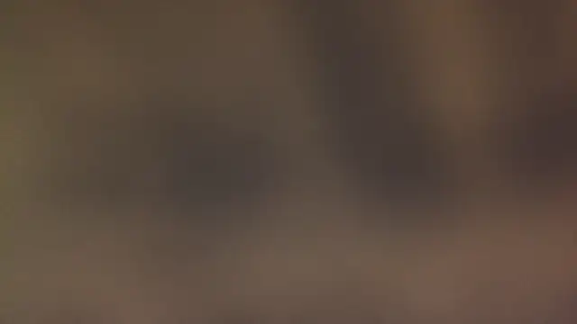 leccaleccafiga online show from 03/12/26, 06:45