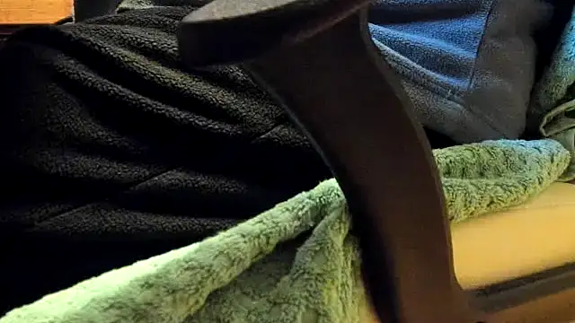 leccaleccafiga online show from 02/04/26, 10:21