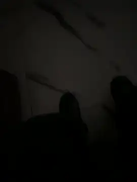 luciferdxm5 online show from 01/11/25, 04:38