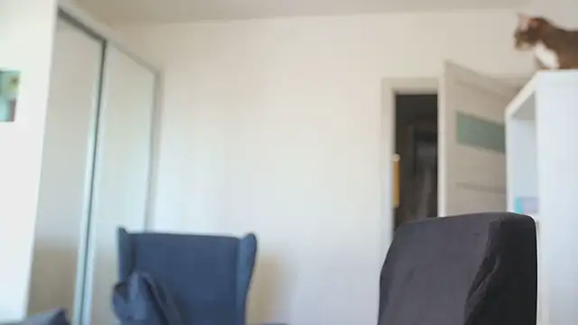 Snapshot of kevin-park chatting on 02/14/26, 08:14 kevin-park online show from 02/14/26, 08:14