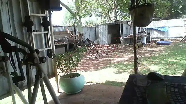 herbie010666 online show from 11/14/25, 04:05