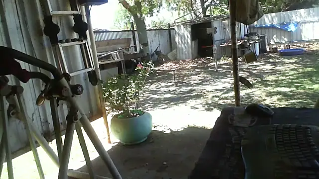 herbie010666 online show from 10/30/25, 03:49