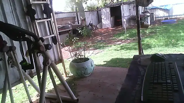 herbie010666 online show from 12/15/25, 04:40