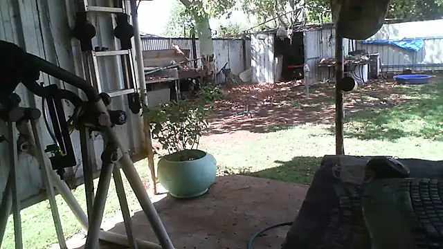 herbie010666 online show from 11/20/25, 04:46