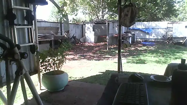 herbie010666 online show from 12/05/25, 05:17