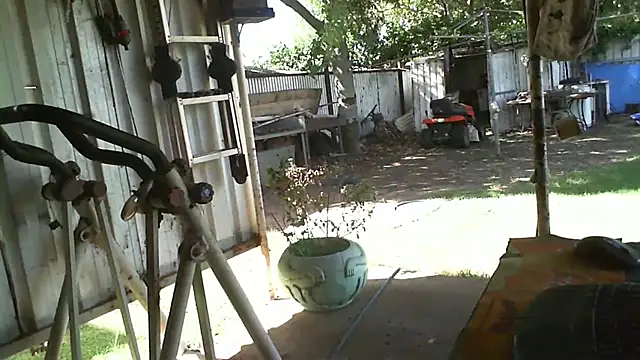 herbie010666 online show from 03/10/25, 05:33