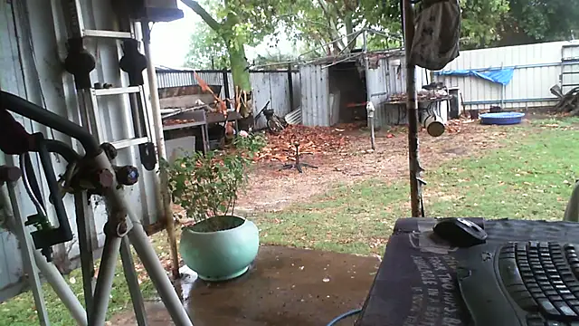 herbie010666 online show from 11/13/25, 04:05