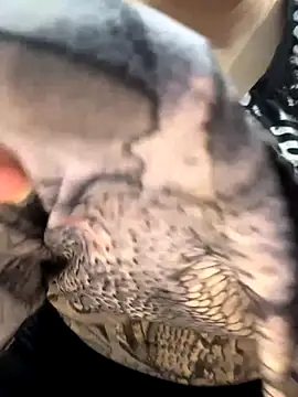 Preet Kaur 69 online show from 12/19/25, 06:43