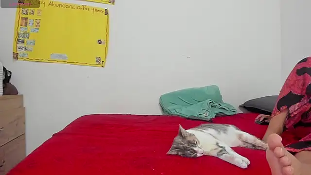 Hela wet online show from 11/24/25, 05:35