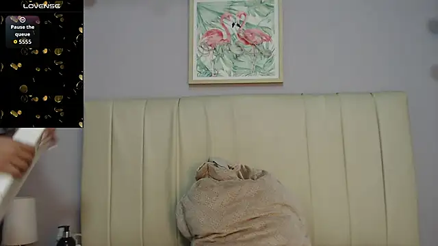 amy le01 online show from 11/04/25, 01:26